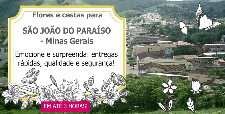 Floricultura São João do Paraíso | UNIFLORES