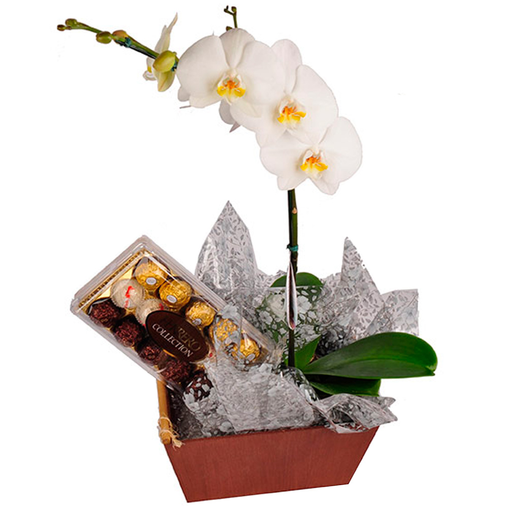 Arranjo de Orquídea Phalaenopsis com Bombons Ferrero Rocher Uniflores