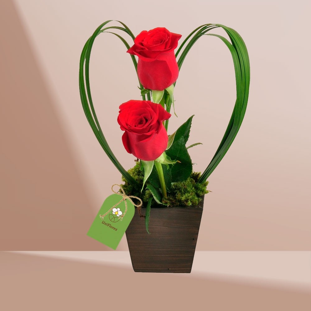 Arranjo encanto de rosas vermelhas - Uniflores