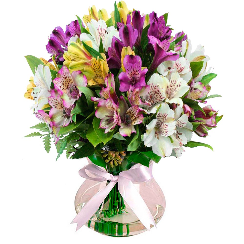 Arranjo Harmonia em Alstroemérias Floricultura Uniflores Flores Online