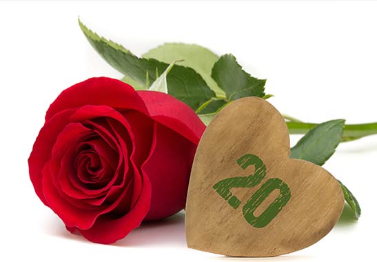 Promoção Aniversário Flores Promoção Aniversário Flores