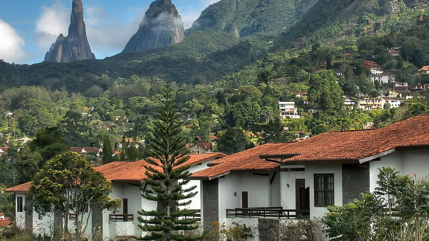 flores on line para Marília flores online para Marília