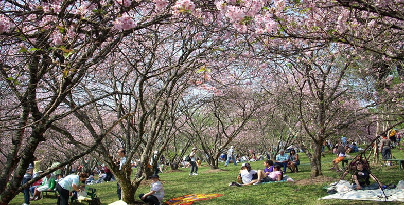 Nossa Floricultura On line atende em Parque do Carmo Nossa Floricultura Online atende em Parque do Carmo