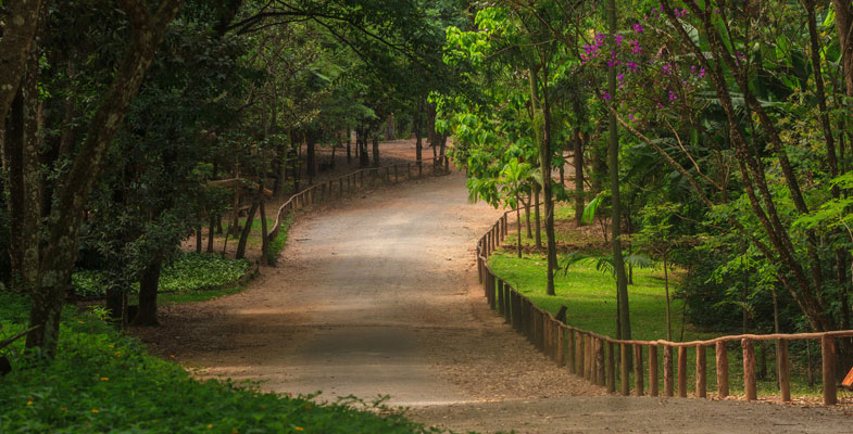 Nossa Floricultura On line atende em Anhanguera Nossa Floricultura Online atende em Anhanguera