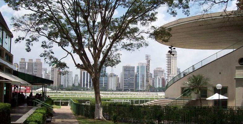 Nossa Floricultura On line atende em Butantã Nossa Floricultura Online atende em Butantã