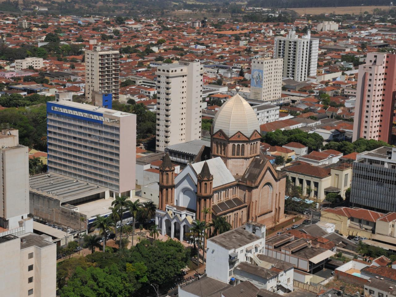 flores on line para Marília flores online para Marília