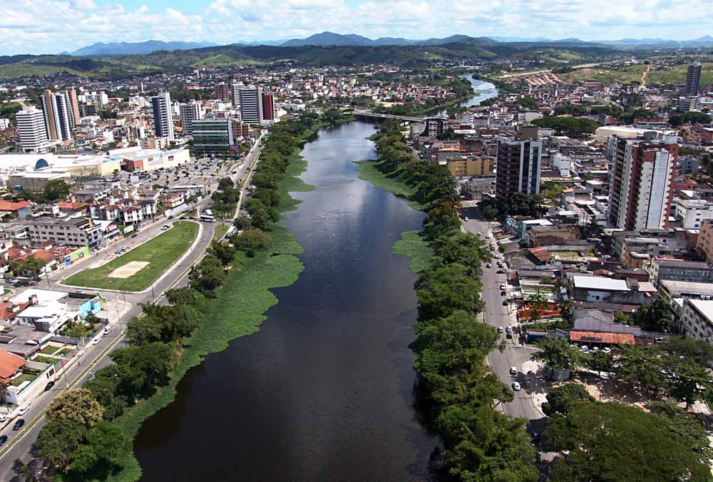 flores on line para Marília flores online para Marília