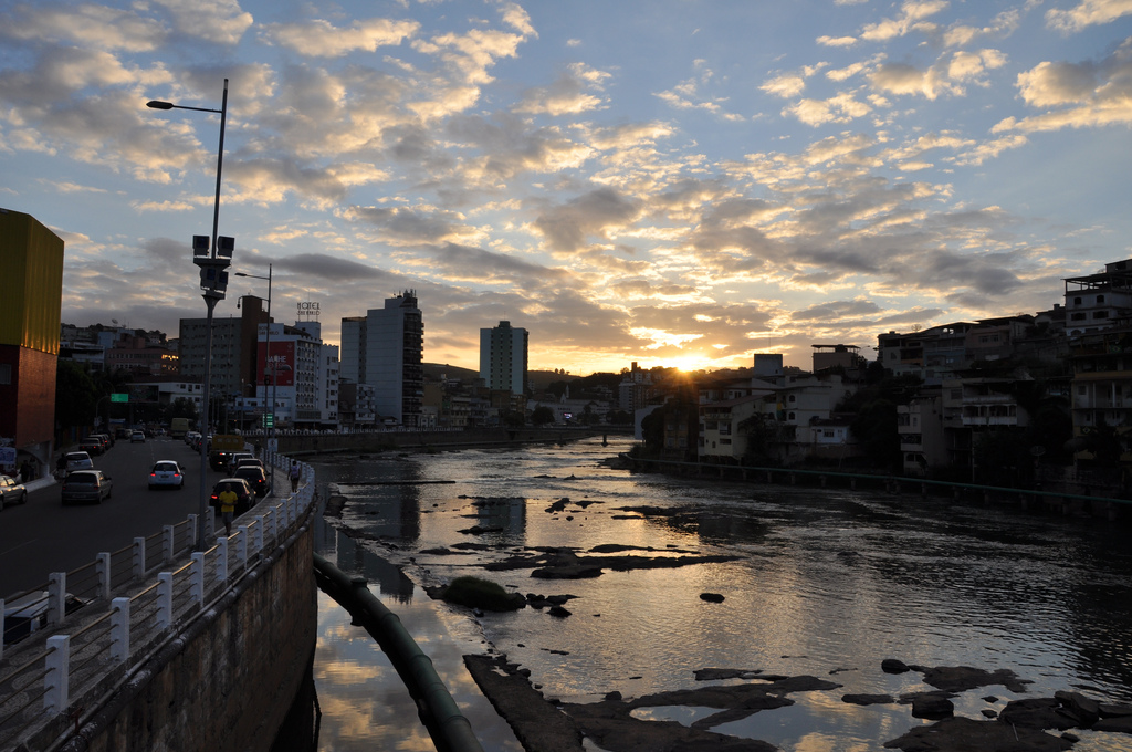 flores on line para Marília flores online para Marília