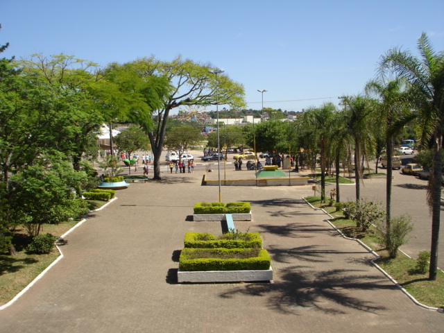 flores on line para Marília flores online para Marília