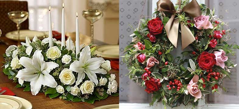 Flores de Natal Flores de Natal