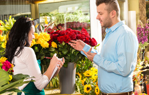 Flores na Primavera Flores na Primavera