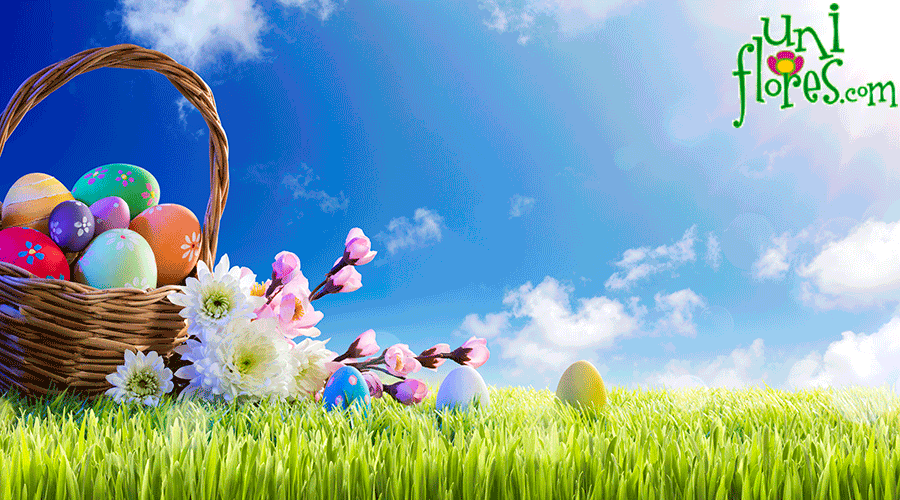 Envie flores na páscoa! Flores na páscoa