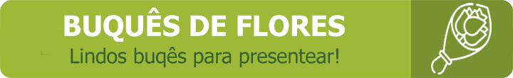 Buquês de Flores para São Paulo Buquês de Flores para São Paulo
