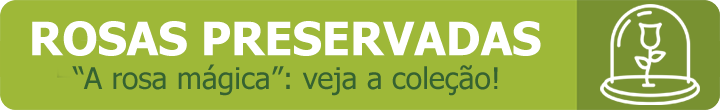 Rosa Mágica - Rosas preservadas para São Paulo Rosa Preservada Uniflores