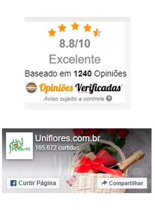 Avaliações de nossos clientes reais Loja bem avaliada por consumidores reais